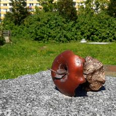 Ohryzek Járy Cimrmana