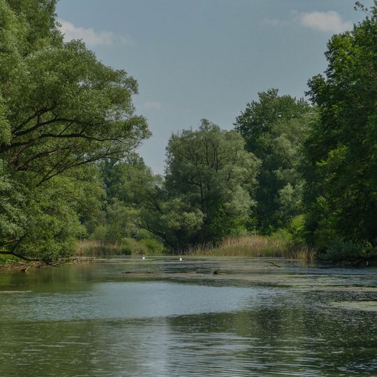 Traun-Donau-Auen