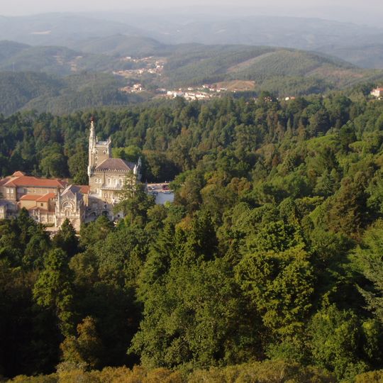 Forêt de Buçaco
