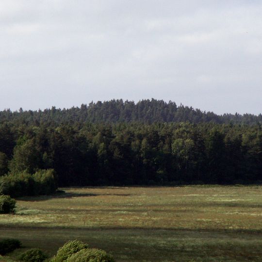 Joskaudų piliakalnis