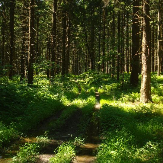 Morgan Hill State Forest