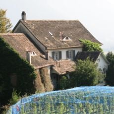 Burgruine und Schlösschen Nidberg