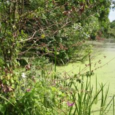 Castle park in Żmigród