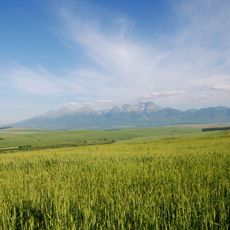 Vrbovská pahorkatina