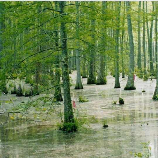 Wolf River