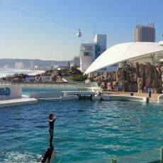 Kamogawa Sea World