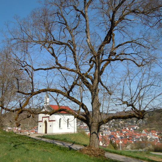 1 Linde bei der Marienkapelle