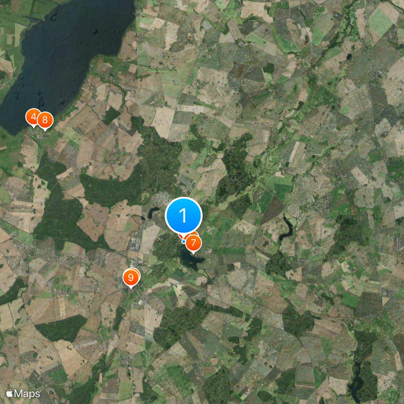 Horse-head oak Mappa