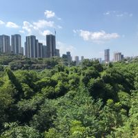 Distretto di Qijiang