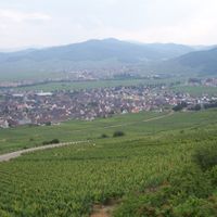 Sigolsheim