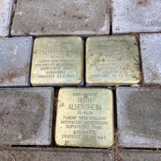 Stolperstein dedicated to Curt Albersheim
