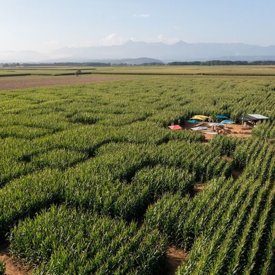 Pop Corn Labyrinthe TARBES
