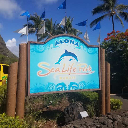 Sea Life Park Hawaii
