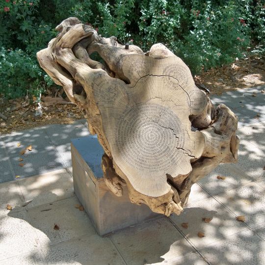 Raíces de Churriana