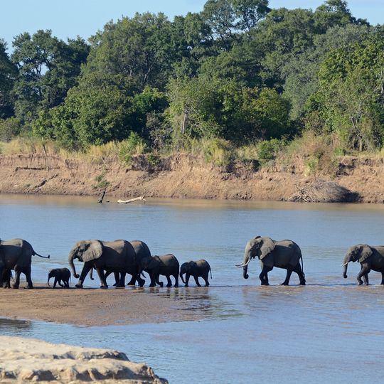 Parc national de Luangwa Sud