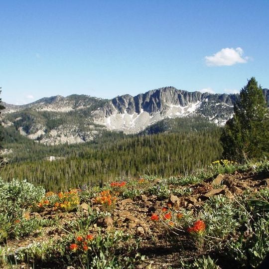 Boise National Forest
