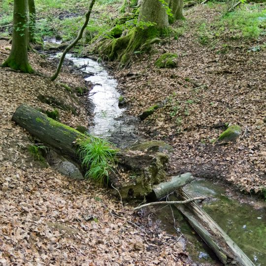 NSG Bachtal bei Gruenau