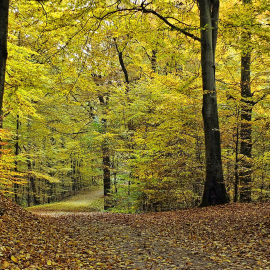 Garlstorfer Wald und weitere Umgebung