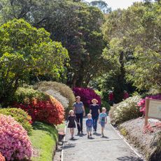 Pukeiti Garden