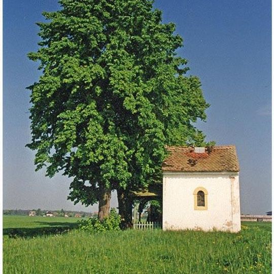 Lípy u kapličky ve Mžanech