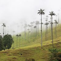 Departamento del Quindío