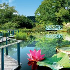 The Water Gardens of Carsac
