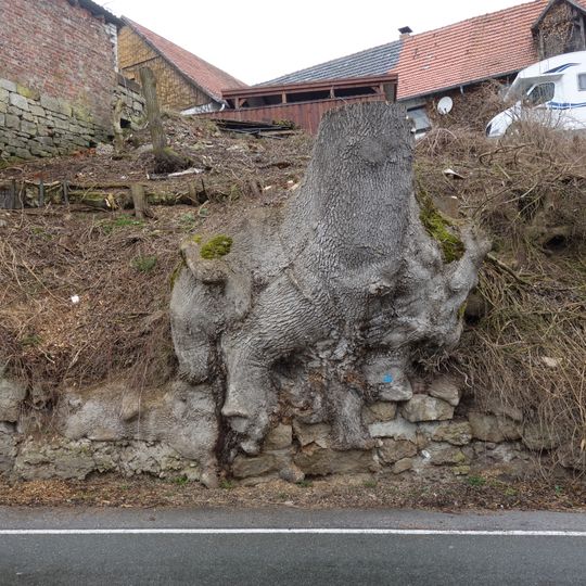 Naturdenkmal 154 - Esche