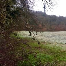 Boisement humide de La Boisse