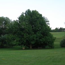 Pomník padlým v letech 1914-1918 v Lidicích