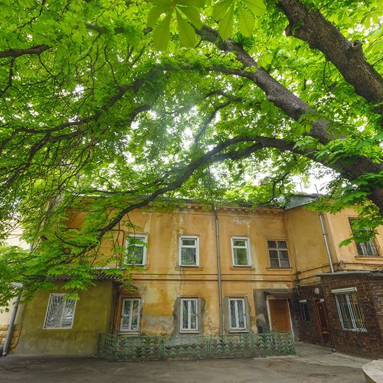 Aesculus Hippocastanum