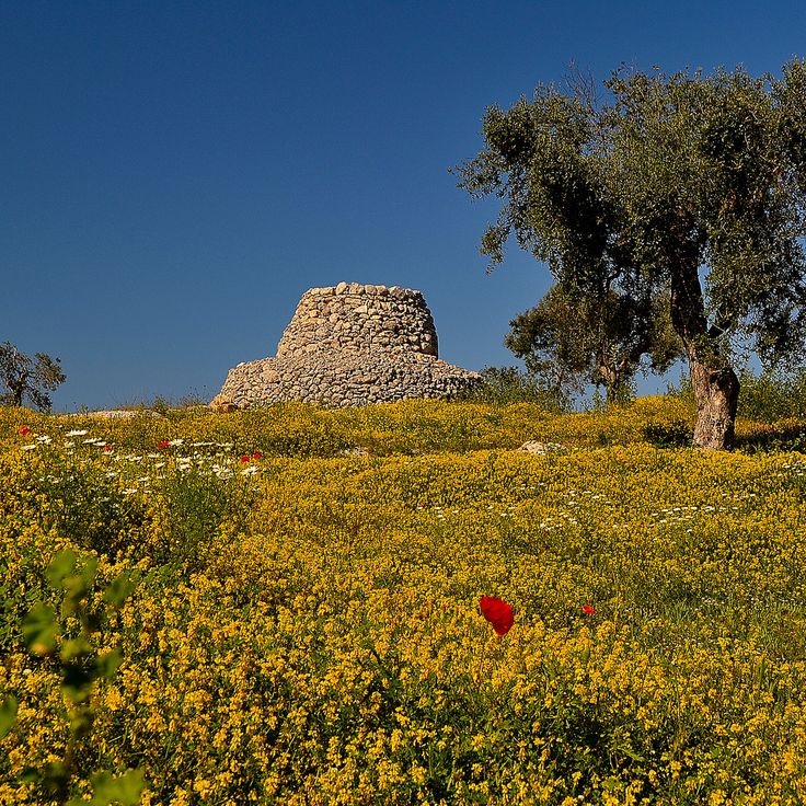 Riserva Naturale Statale Le Cesine