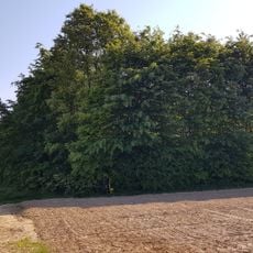 Belgium-Netherlands boundary stone no. 94
