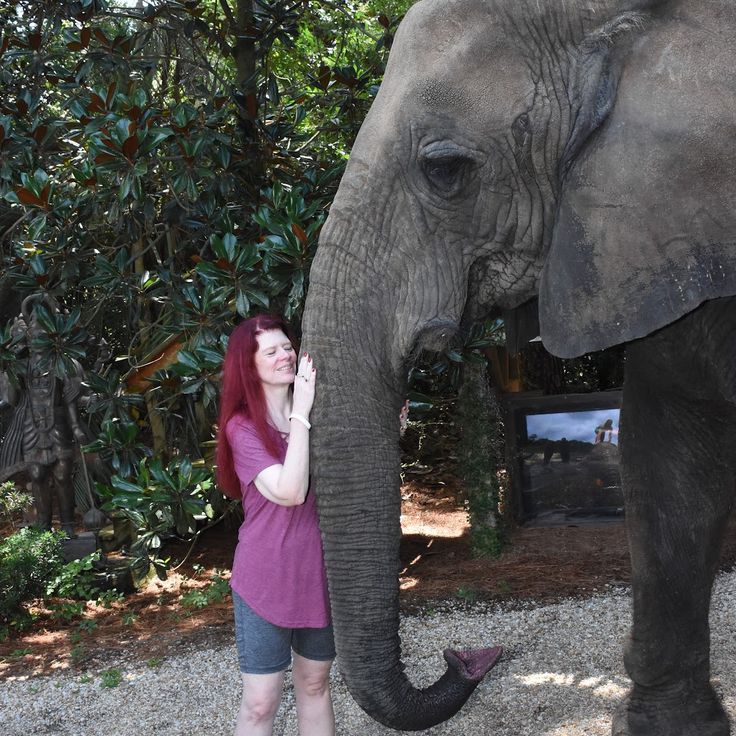 T.I.G.E.R.S. Preservation Station