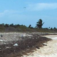 provincia di Ciego de Ávila