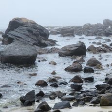 Lynch Park Beach