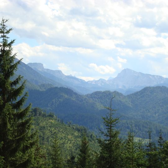 Rothwald