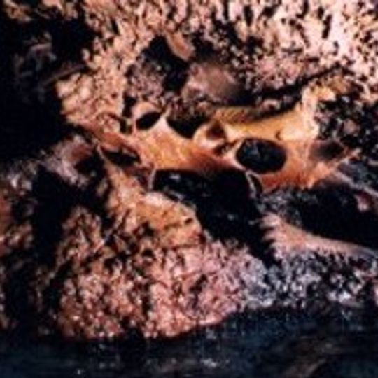 Grotta dei Cervi