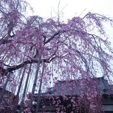 Kōraku-ji