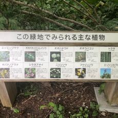 篠路五ノ戸の森緑地
