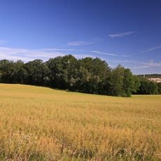Mühlenholz in Gersdorf