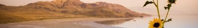 Panoramic View 3