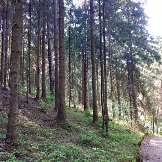 Category:Toksovo Heights