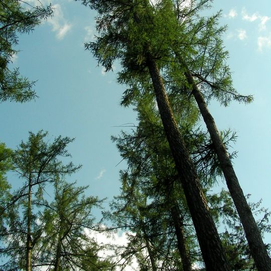 Rezerwat przyrody Jaśkowice