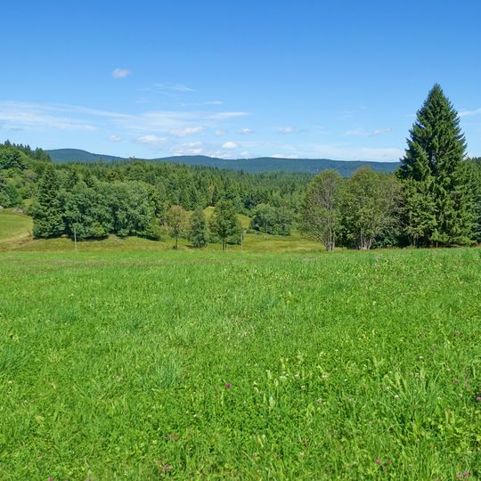 Réserve de biosphère de la Forêt-Noire