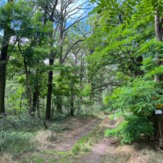 Alte Elster und Rieke