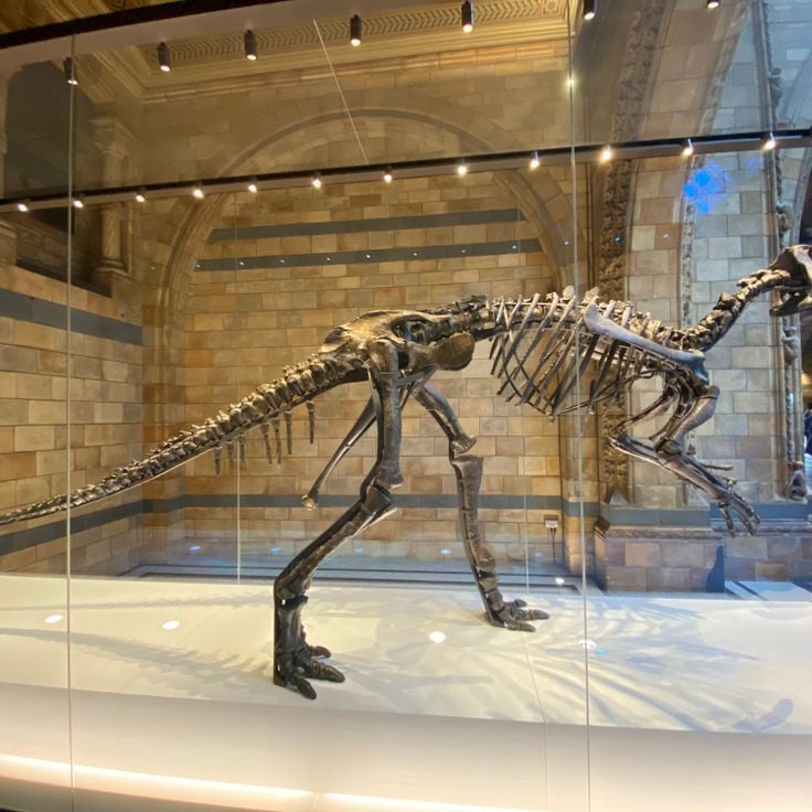 Natural History Museum