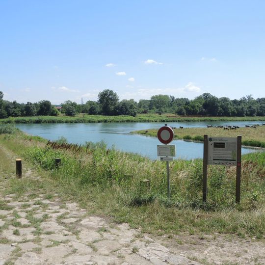 Réserve naturelle nationale de l'île de la Platière
