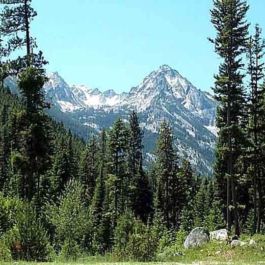 Bitterroot National Forest