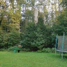 Naturdenkmal Winter-Linde in Alte Hölle