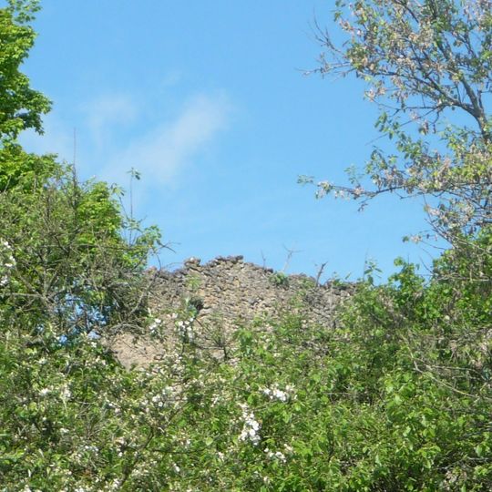 Burgruine Neidenstein